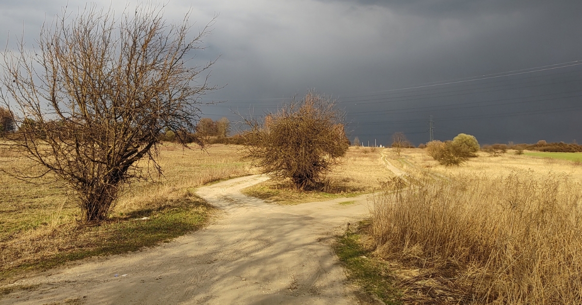 ścieżka wśród pustych pól, w tle burzowe, sine chmury
